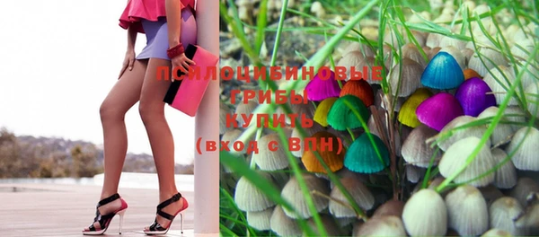 круглые Белокуриха