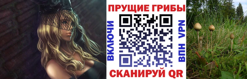 Галлюциногенные грибы MAGIC MUSHROOMS  Томск 
